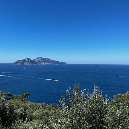Apartment Don Luigino - Capri View By Interhome Massa Lubrense Exterior foto
